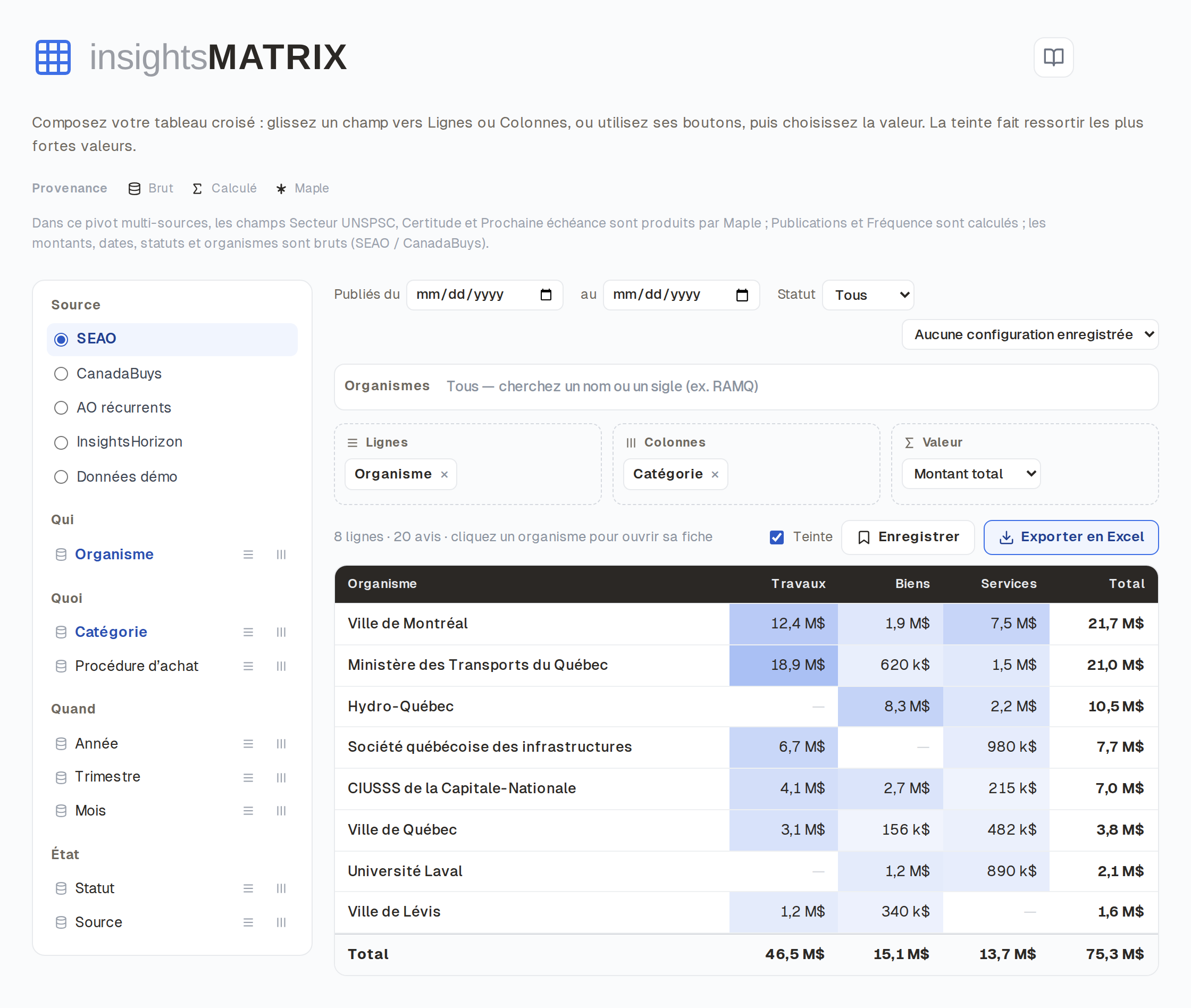 Capture d'écran d'InsightsMatrix : tableau croisé dynamique