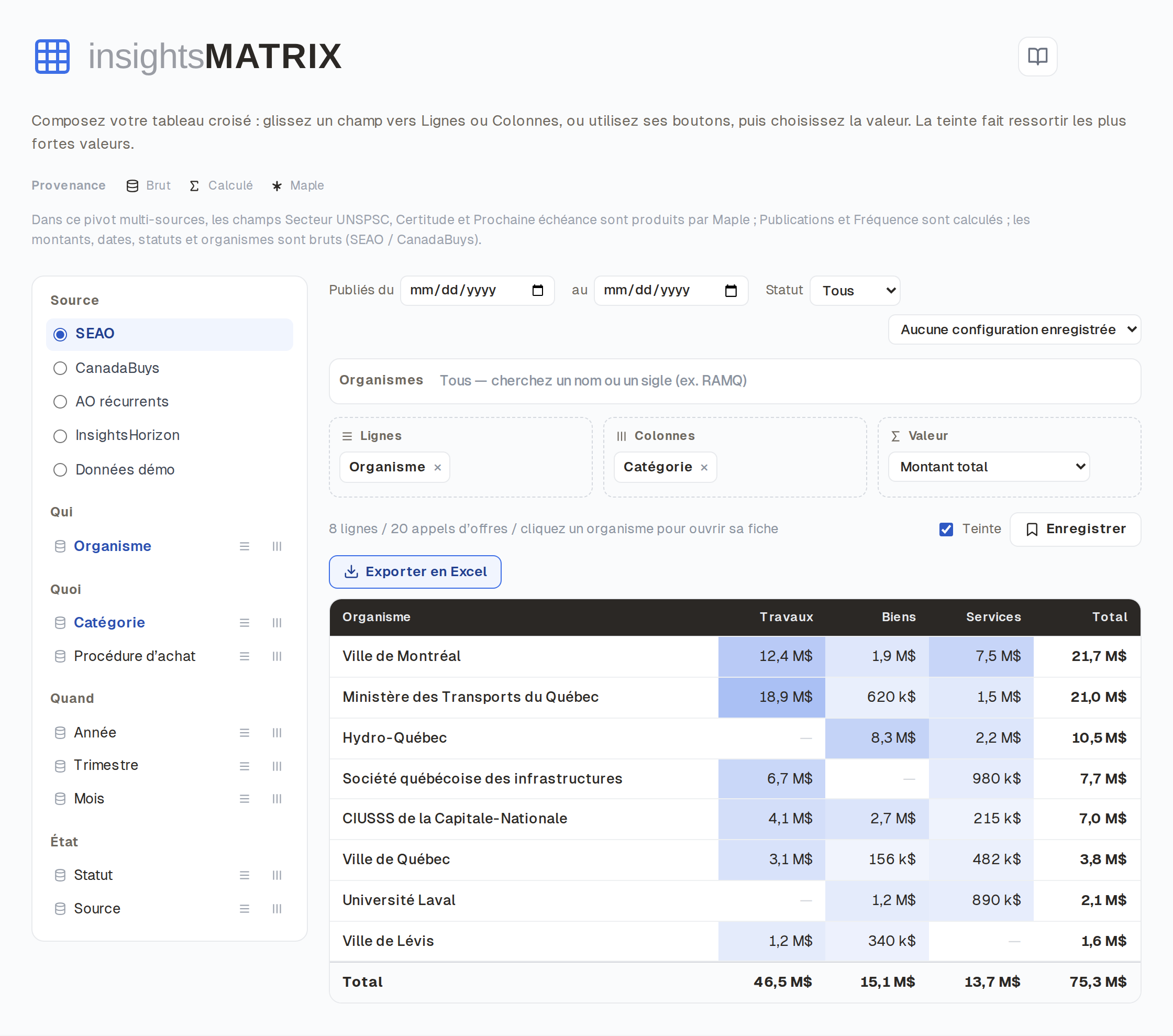 Capture d'écran d'InsightsMatrix : tableau croisé dynamique